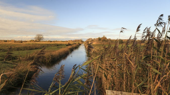 Channel of calm water running between reeds in autumn light